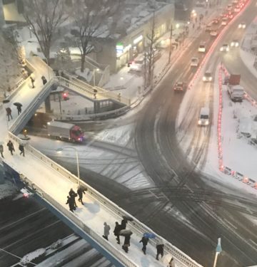 雪が積もる道路